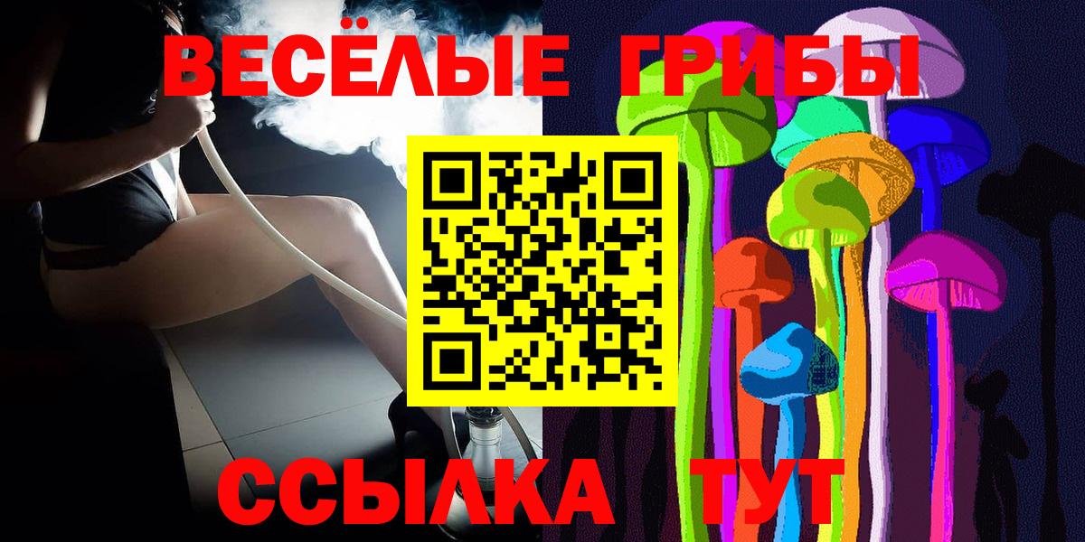 Унеча  Псилоцибиновые грибы Cubensis  Вход с VPN 